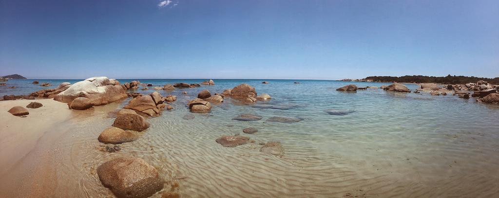Mare